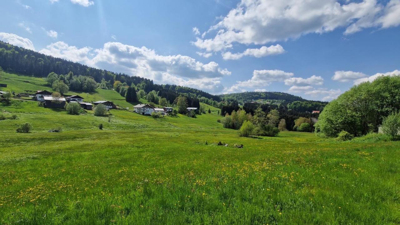 Two Apartaments Almberg - Mitterdorf-Миттерфирмиансройт Экстерьер фото
